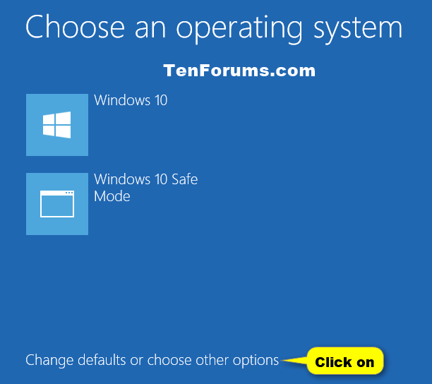 choose operating system at startup