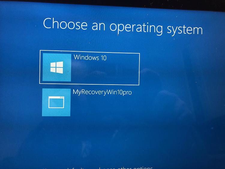 Factory recovery - Create a Custom Recovery Partition-win10bootup_5.jpg