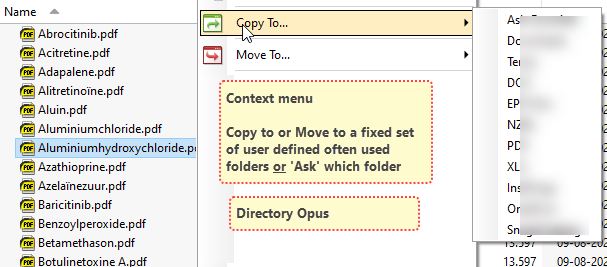Add 'Copy To folder' and 'Move To folder' Context Menu in Windows 10-snagit-24052024-070325.png