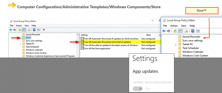 Turn On or Off Automatic Updates for Apps in Windows 10 Store-snagit-06102015-072407.png