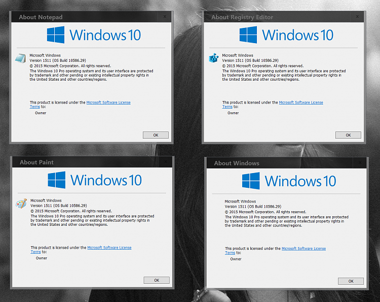 Find Windows 10 Version Number-000068.png