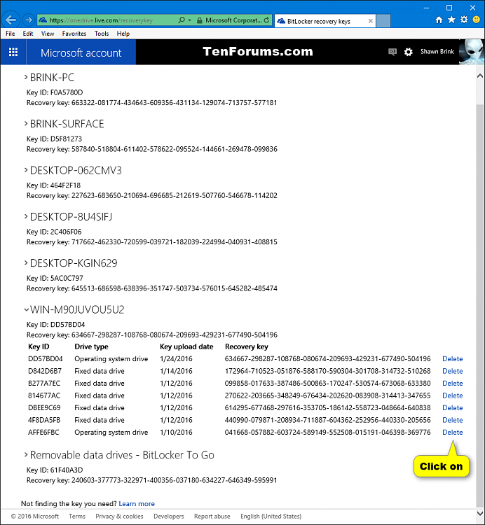 Delete BitLocker Recovery Key from OneDrive for Microsoft Account-microsoft_account_bitlocker_recovery_keys-2.png