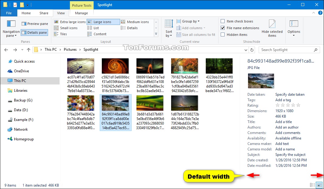 file details pane file details pane