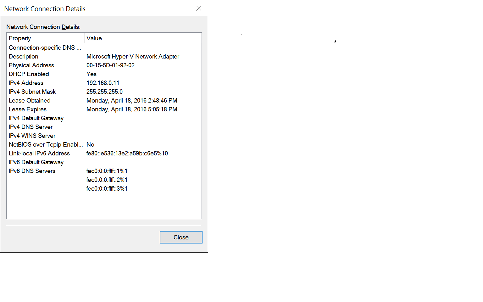 Hyper-V virtualization - Setup and Use in Windows 10-vm-client-adapter-details.png