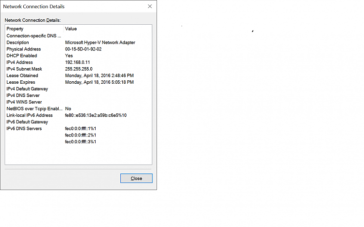 Hyper-V virtualization - Setup and Use in Windows 10-vm-client-adapter-details.png
