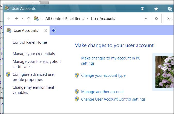 windows 10 delete profile grayed out