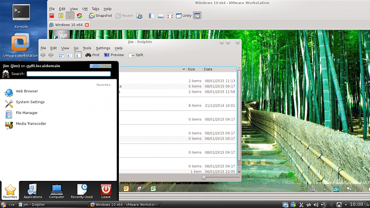 Win 10 as guest in virtualbox (with LinuxMint as host)-snapshot3.png
