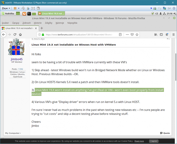 Linux Mint 19.X not installable on Winows Host with VMWare-mint.png