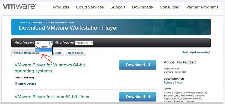 vmware workstation 12 out now - built for W10-vm-player-free-version-major-32bit-option.jpg