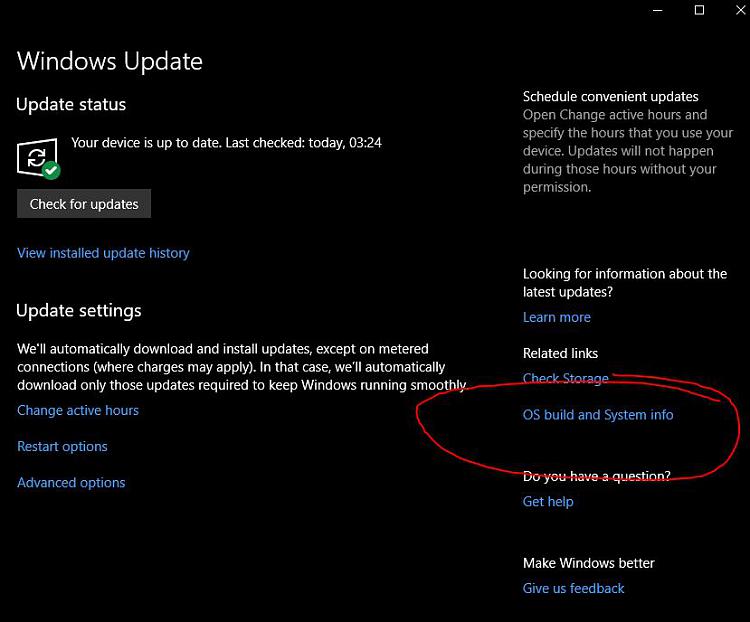 Announcing Windows 10 Insider Preview Build 16199  PC + 15215 Mobile-sysinfo_thingy.jpg