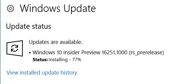 Announcing Windows 10 Insider Slow Build 16251 PC-capture.jpg