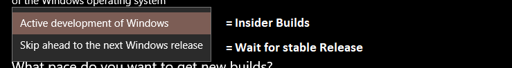 Announcing Windows 10 Insider Slow Build 16251 PC-000296.png