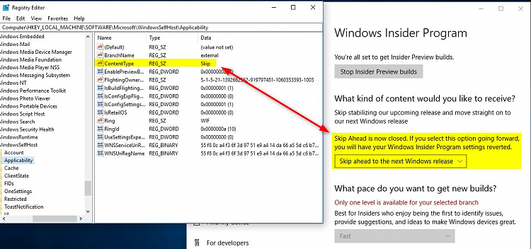 Announcing Windows 10 Insider Preview Skip Ahead Build 16353 for PC-image.png