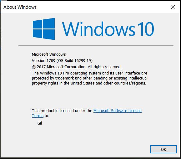 Cumulative Update KB4043961 Build 16299.19 for PC-winver.jpg