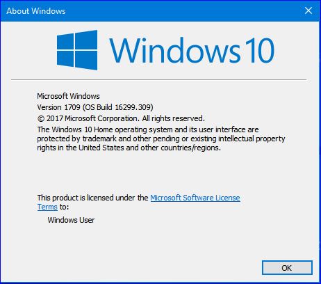 Cumulative Update KB4088776 Windows 10 v1709 Build 16299.309 - Mar. 13-windows-update.jpg