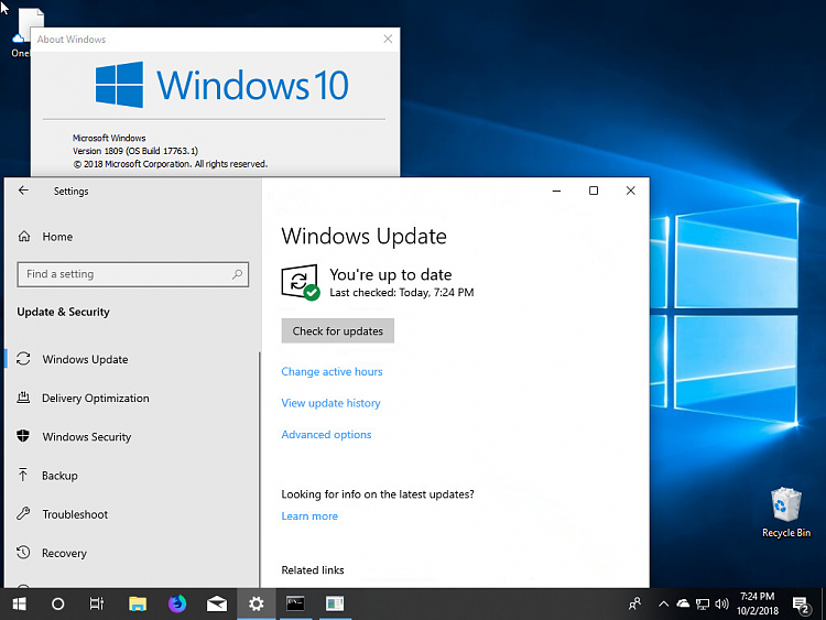 Windows 10 October 2018 Update rollout now paused-windows-10-insider-preview-fast-ring-2018-10-02-19-24-21.png