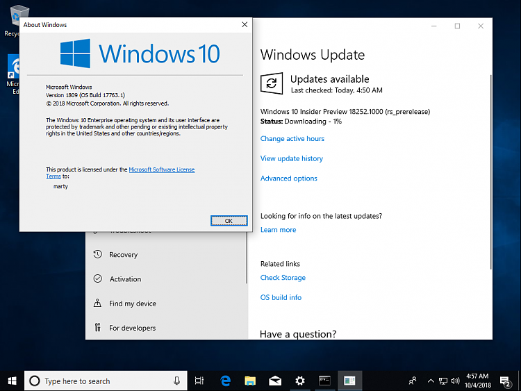 New Windows 10 Insider Preview Fast &amp; Skip Build 18252 (19H1) - Oct. 3-windows-10-enterprise-2018-10-04-04-57-42.png
