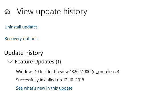 New Windows 10 Insider Preview Fast + Skip Build 18262 (19H1) Oct. 17-image.png