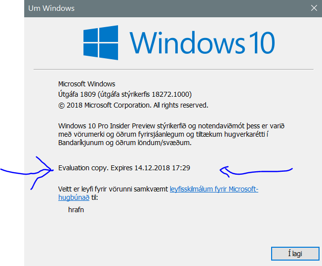 New Windows 10 Insider Preview Fast + Skip Build 18272 (19H1) Oct. 31-skippy.png