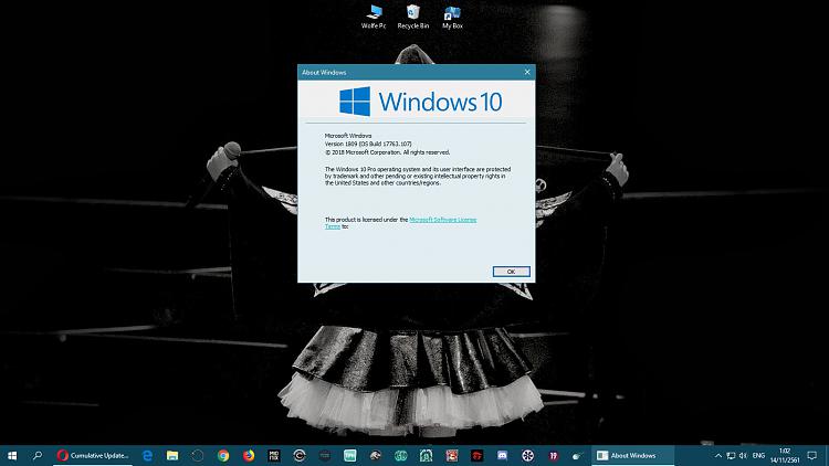 Cumulative Update KB4464455 Windows 10 v1809 Build 17763.107 - Nov. 13-11.jpg