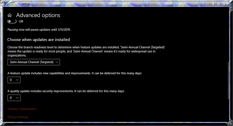 Current Status of Windows 10 October 2018 Update version 1809-windows-updates-advancd-options.png