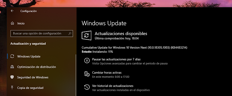 New Windows 10 Insider Preview Fast Build 18305.1003 (19H1) - Dec. 20-next-trim.png