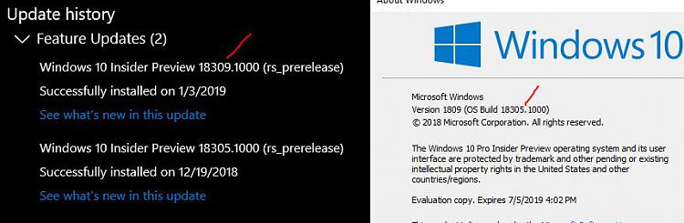 New Windows 10 Insider Preview Fast Build 18309 (19H1) - Jan. 3-wud.jpg
