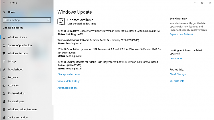 Cumulative Update KB4480116 Windows 10 v1809 Build 17763.253 - Jan. 8-1.png