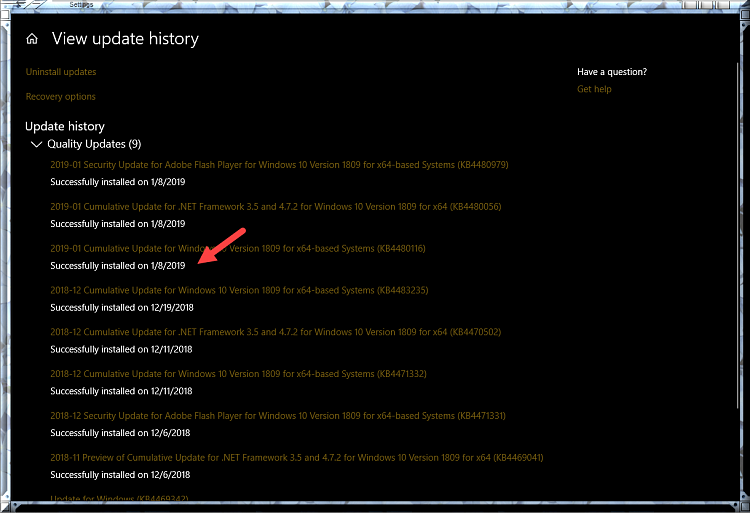 Cumulative Update KB4480116 Windows 10 v1809 Build 17763.253 - Jan. 8-kb4480116-successfully-installed.png