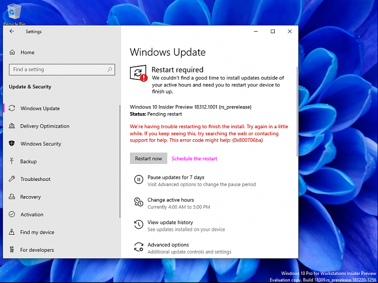 New Windows 10 Insider Preview Fast Build 18312 (19H1) - Jan. 9-windows-10-workstations-2019-01-09-19-45-11.png