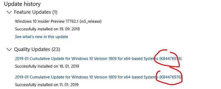Cumulative Update KB4476976 Windows 10 v1809 RP Build 17763.292 Jan.18-image.png