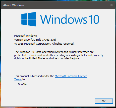 Cumulative Update KB4487044 Windows 10 v1809 Build 17763.316 - Feb. 12-316.png
