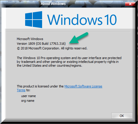 Cumulative Update KB4487044 Windows 10 v1809 Build 17763.316 - Feb. 12-winver-after-installing-kb4487044.png