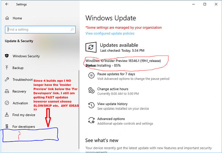 New Windows 10 Insider Preview Fast Build 18346 (19H1) - Feb. 26-ip.png