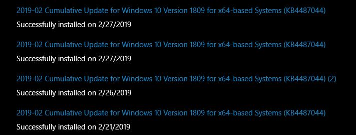 Cumulative Update KB4487044 Windows 10 v1809 Build 17763.316 - Feb. 12-capture.jpg