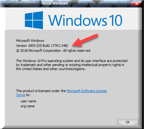 Cumulative Update KB4482887 Windows 10 v1809 Build 17763.348 - March 1-winver-after-installing-kb4482887.png