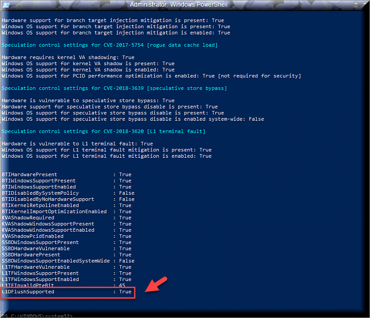 Cumulative Update KB4482887 Windows 10 v1809 Build 17763.348 - March 1-l1dflushsupported-true-value.png