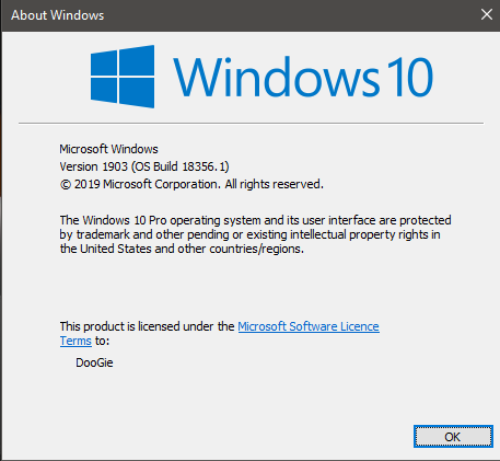 New Windows 10 Insider Preview Slow Build 18356.16 (19H1) - March 19-18356.png