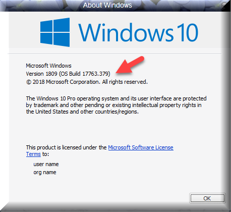 Cumulative Update KB4489899 Windows 10 v1809 Build 17763.379 - Mar. 12-winver-after-installing-kb4489899.png