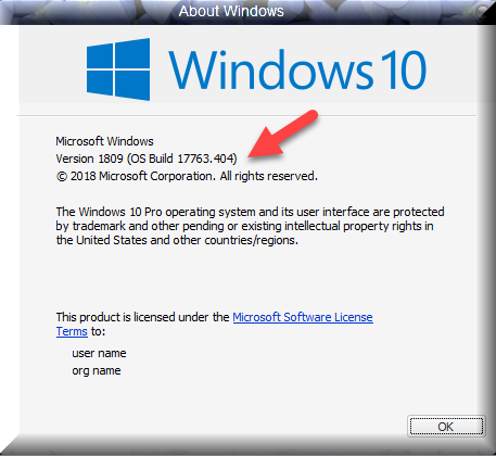 Cumulative Update KB4490481 Windows 10 v1809 Build 17763.404 - April 2-winver-after-installing-kb4490481.png