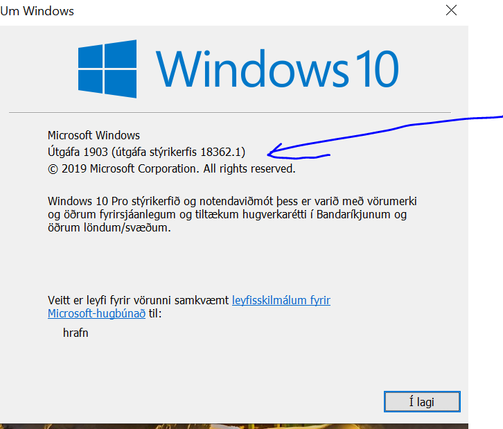 New Windows 10 Insider Preview Fast+Slow Build 18362 (19H1) - Mar. 22-1903.png