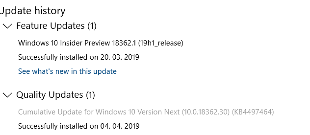 New Windows 10 Insider Preview Fast+Slow 18362.30 (19H1) - Apr. 4-image.png