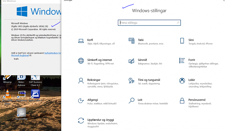 New Windows 10 Insider Preview Fast+Slow 18362.30 (19H1) - Apr. 4-lsip.png