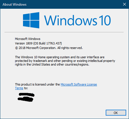 Cumulative Update KB4493509 Windows 10 v1809 Build 17763.437 - April 9-capture.png