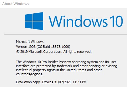 New Windows 10 Insider Preview Fast+Skip Build 18875 (20H1) - April 10-winver.jpg