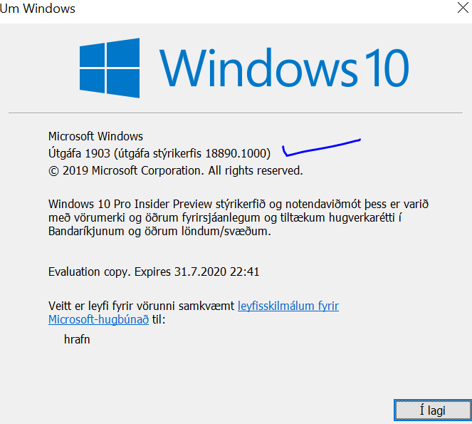 New Windows 10 Insider Preview Fast+Skip Build 18890 (20H1) - May 1-winver.png