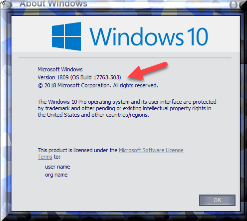 Cumulative Update KB4494441 Windows 10 v1809 Build 17763.503 - May 14-winver-after-installing-kb4494441.png