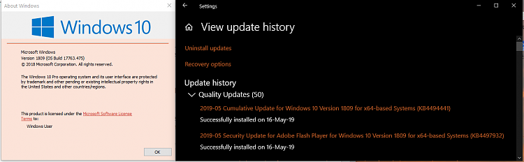 Cumulative Update KB4494441 Windows 10 v1809 Build 17763.503 - May 14-capture.png