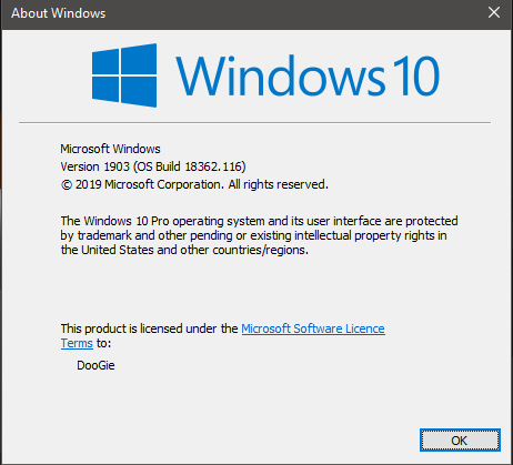 Windows 10 May 2019 Update version 1903 rollout approach-116.png