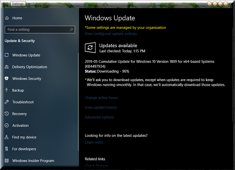 Cumulative Update KB4497934 Windows 10 v1809 Build 17763.529 - May 21-kb4497934-currently-downloading.png